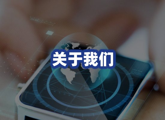 专业团队